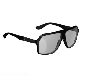 Leatt TheViz Sunglasses Andes - Black Polarized Silver 17 VL
